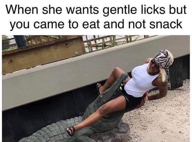OffensivememeL's tweet photo. It's dinner time bitch #meme #memes https://t.co/LQFeXfiHxP
