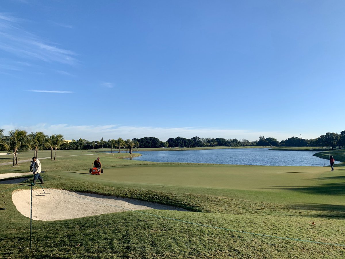 JR_Hollins's tweet image. Twitterless Dan Stover GCS has the Golden Palm shining for the PGA Tour Latinoamerica Shell Championship. @PGATOURLA @TrumpDoral