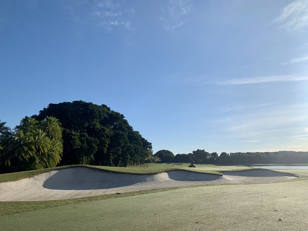 JR_Hollins's tweet image. Twitterless Dan Stover GCS has the Golden Palm shining for the PGA Tour Latinoamerica Shell Championship. @PGATOURLA @TrumpDoral
