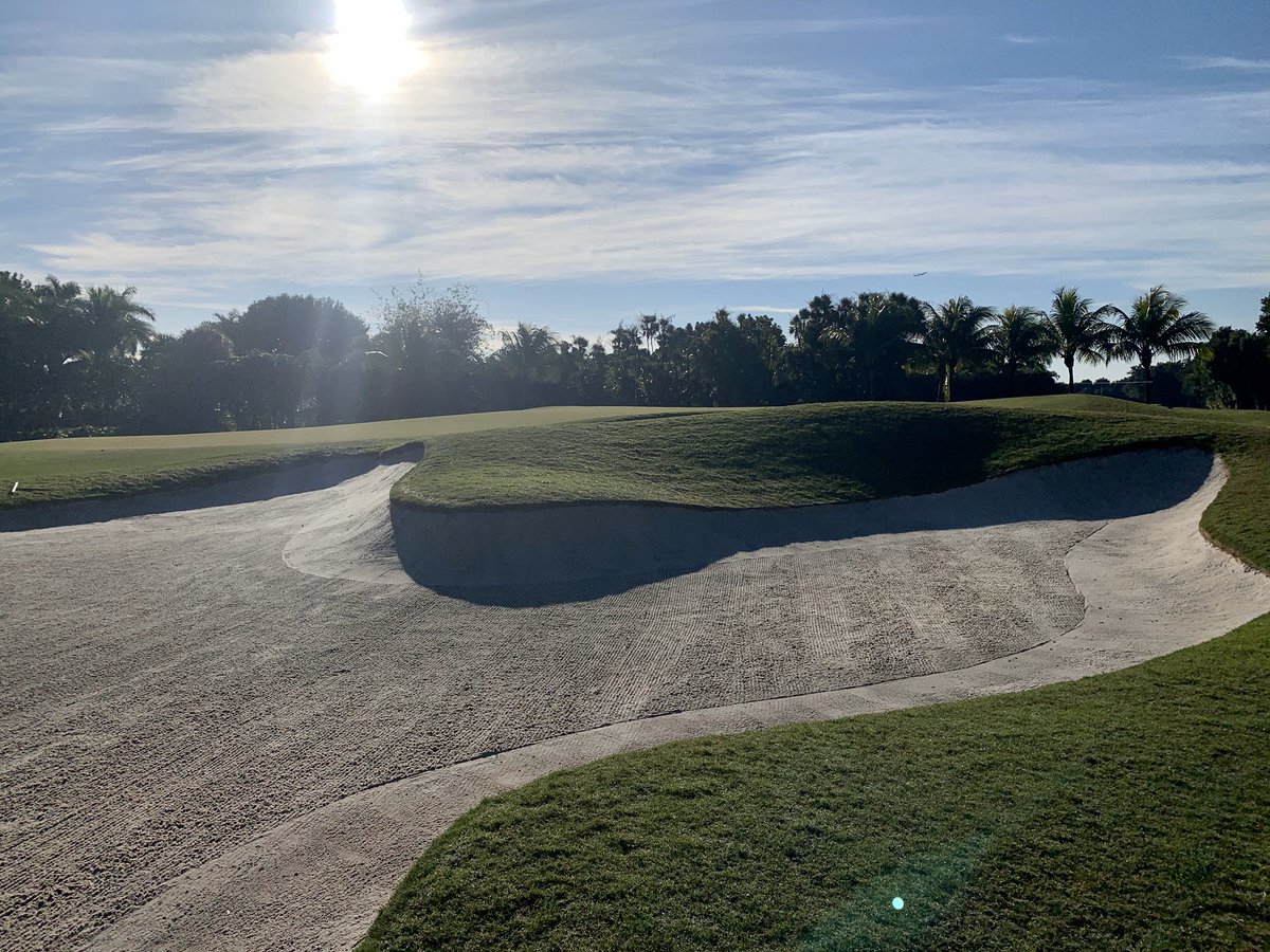 JR_Hollins's tweet image. Twitterless Dan Stover GCS has the Golden Palm shining for the PGA Tour Latinoamerica Shell Championship. @PGATOURLA @TrumpDoral
