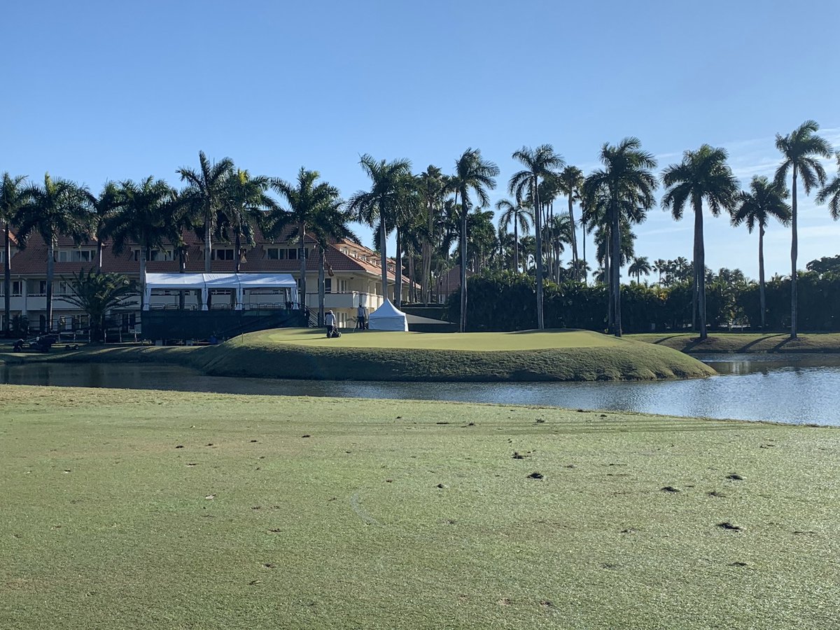 JR_Hollins's tweet image. Twitterless Dan Stover GCS has the Golden Palm shining for the PGA Tour Latinoamerica Shell Championship. @PGATOURLA @TrumpDoral