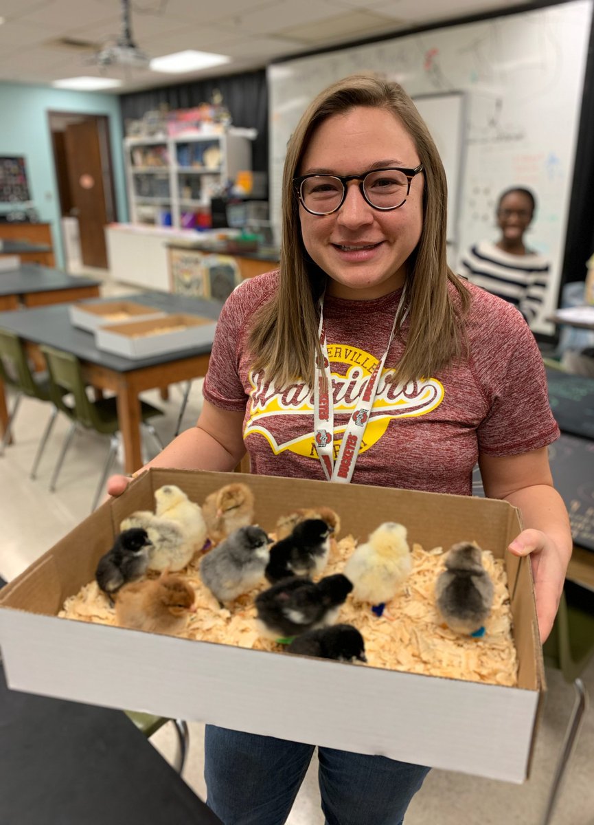 wnchem's tweet photo. WNHS biology teachers provide our students with amazing experiences.  Thanks to Mrs. Morckel and @WEF_Westerville for making this happen! #ChicksProject #InspirationalTeachers
#WNHSscience #HireTheBest https://t.co/8Wts2YndEa