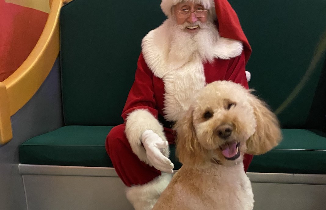 Don't forget! Today is the last day for pet photos with Santa at HGTV's Santa HQ! Santa will be here until 8:00pm tonight so come on by! 🐾 🎅