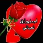Photo by تبع حسان اليماني‎ (@zKPfN)