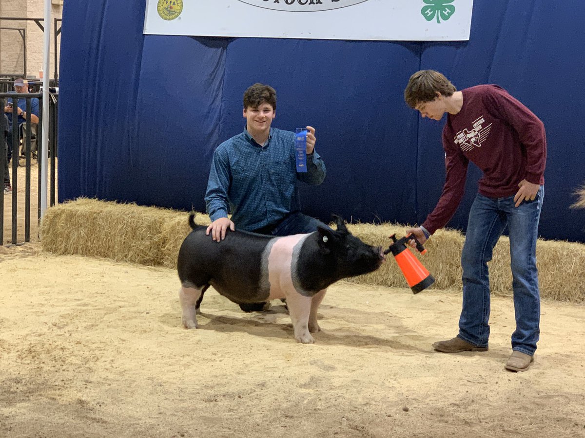 georgetownffa's tweet photo. Congratulations to:

Colter Mikes- Breed Champion Duroc 
Danielle Roby- 1st Place Cross
Michael Valenta- 1st Place Cross
Kylie Mikes- 2nd Place DOPB

Also Congratulations To: 

Cooper Beran
Lulu Beran
Ben Bonucci
Joseph Valenta
Shelby Johnson 
Emma Dean
Tennison Dean https://t.co/R0xVAC522c