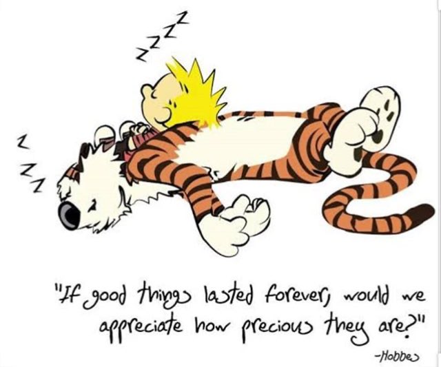 Calvin and Hobbes on Twitter: Calvin and Hobbes on Twitter: