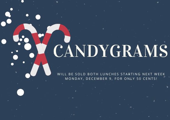 Senator O'Connor tweet media