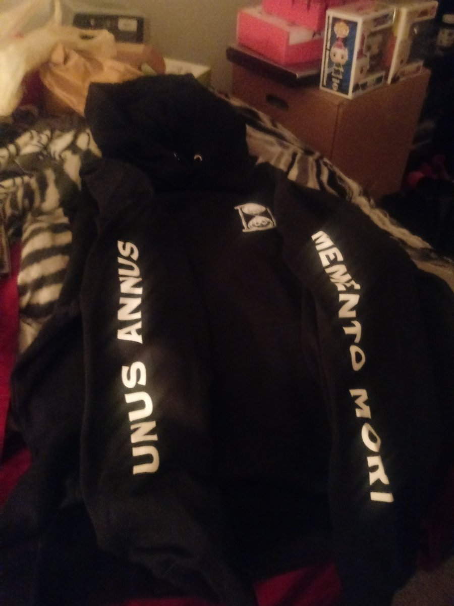 06_eh's tweet photo. Loving that my #UnusAnnus hoodie came in also got that #Teamtrees hoodie https://t.co/PJ1UUY0BDu