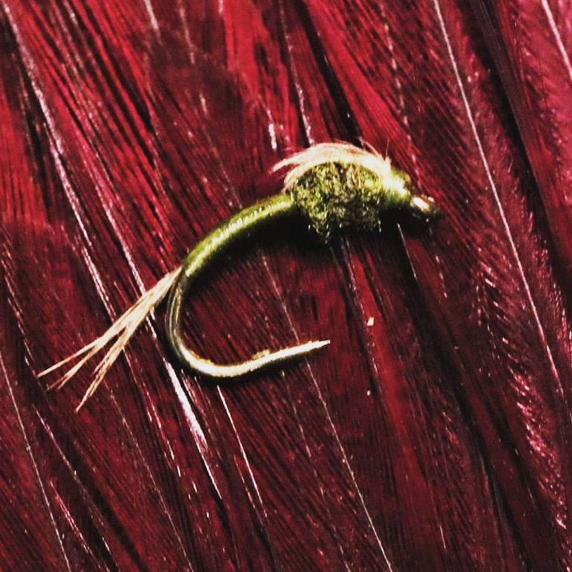 flickinfeathers's tweet photo. https://t.co/zkGSuXBBGp today's @YouTube tutorial is for this WD-40, a great little baetis imitation for trout and grayling #flyfishing #flytying #fishing #baetis #mayfly #nymph #emerger #trout #troutfly #grayling #graylingfly https://t.co/xRjZSdWcub
