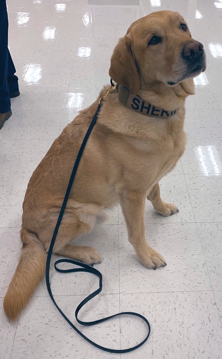 T-1792 had a blast hosting the Black Hawk County Sheriff’s Office this morning!! We even got to hang out with Jarvis!! 😍 We love building these relationships and being even a small part in local law enforcement giving back to the community!! 

#worksomewhereyoulove #target #joy