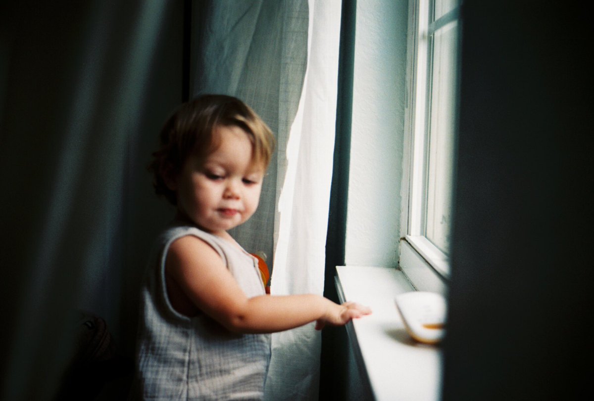 DillonWehde's tweet photo. Was gonna post photos from around the country that i took on film the past year but tbh i like these WAAAAAY more. I mean look at those cheeks! https://t.co/U4pBEaXuLb