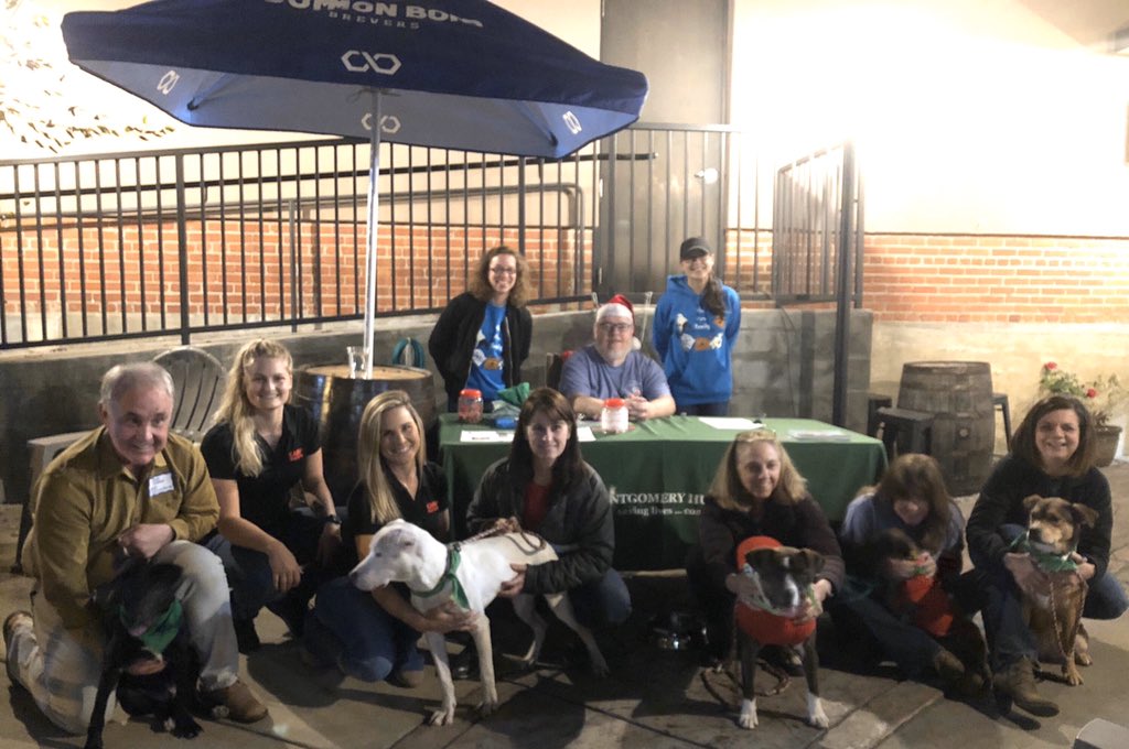 CommonBondBrew's tweet photo. Pups are here, come down to @CommonBondBrew to adopt your new best drinking bud. #pintsforpups https://t.co/VcMs9g4VmG
