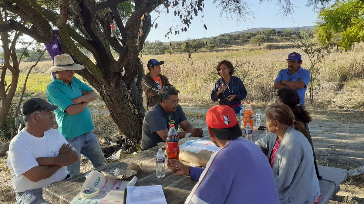 GabysJaralillo's tweet photo. Finalizando el servicio de asesoría técnica de manera oficial, con la presentación de resultados. Gracias por el apoyo y sus ganas de mejor la situación en el campo agrícola. #productorescincodefebrero #profesionalizacionagropecuaria @DesdeGto @SDAyR_GTO @pepegmichel https://t.co/inWa5xHlVz