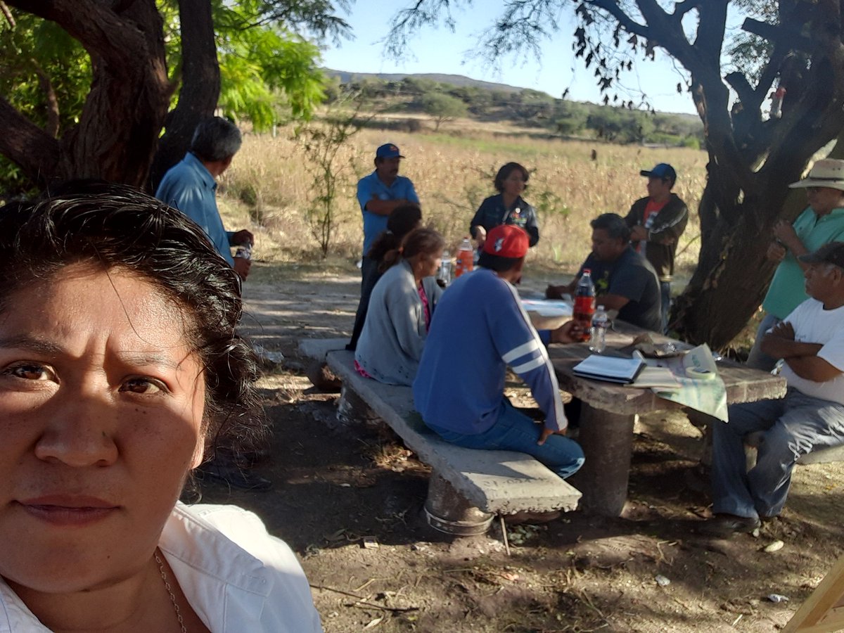 GabysJaralillo's tweet photo. Finalizando el servicio de asesoría técnica de manera oficial, con la presentación de resultados. Gracias por el apoyo y sus ganas de mejor la situación en el campo agrícola. #productorescincodefebrero #profesionalizacionagropecuaria @DesdeGto @SDAyR_GTO @pepegmichel https://t.co/inWa5xHlVz