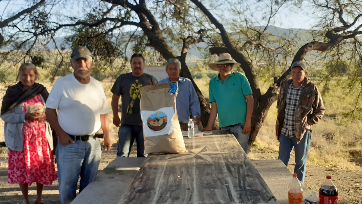 GabysJaralillo's tweet photo. Finalizando el servicio de asesoría técnica de manera oficial, con la presentación de resultados. Gracias por el apoyo y sus ganas de mejor la situación en el campo agrícola. #productorescincodefebrero #profesionalizacionagropecuaria @DesdeGto @SDAyR_GTO @pepegmichel https://t.co/inWa5xHlVz