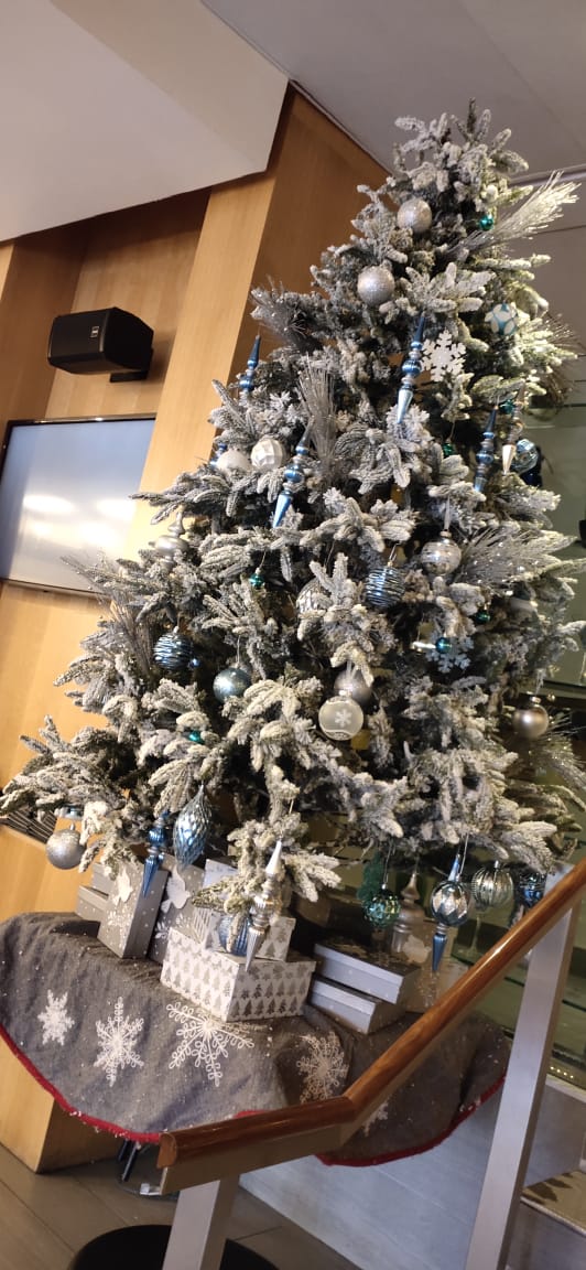 Mandeep55966153's tweet photo. A beatutiful Christmas Tree in Humber Room as beautiful Humber Room is itself.#HTOM5003 https://t.co/vPpU6KG2IK