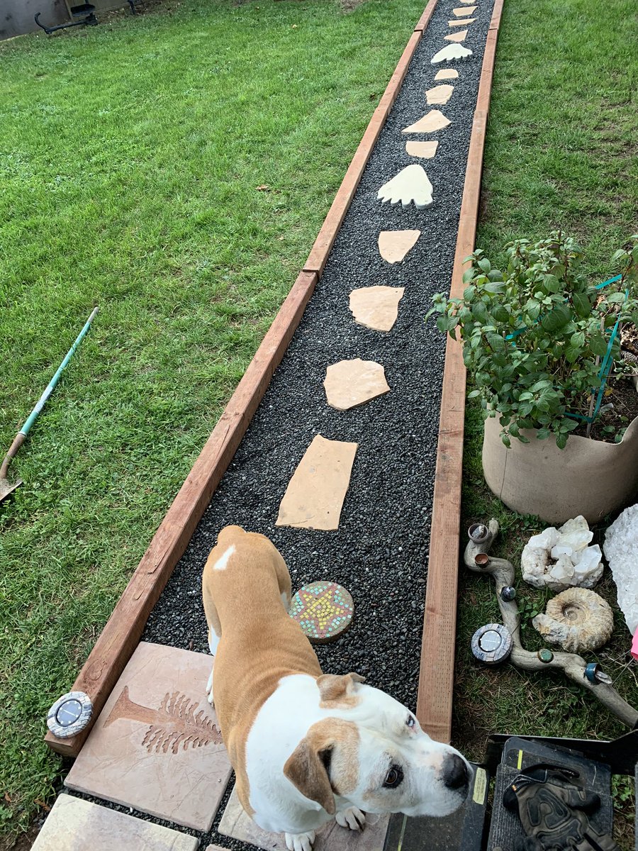 myceliumagenda's tweet image. Decided we needed a walking path to the RV today. I put in the septic, water and ran a 30amp outlet last year. #doingstuff #DIY