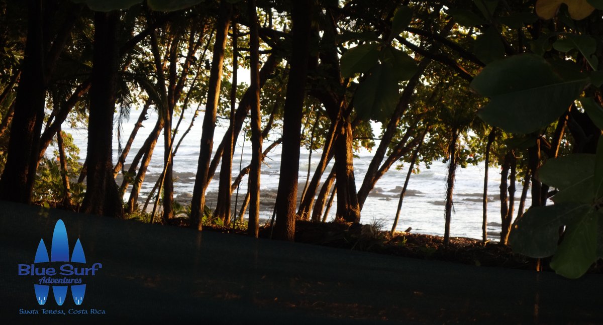 BlueSurfCR's tweet photo. Just a few steps from the sea
Reserve now here:

https://t.co/BSowY5DpJt
https://t.co/6jdQophR7J

#santateresa #surflessons #surftrip #surfdestiny #surfcoach #learntosurf #puravida #santateresa #bluesurfadventures #summertime https://t.co/56bxvdeIE7