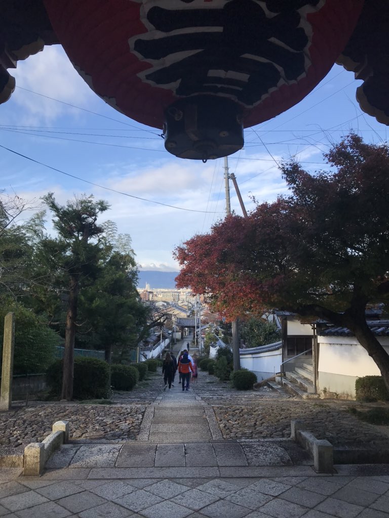 Good morning Kyoto🐵