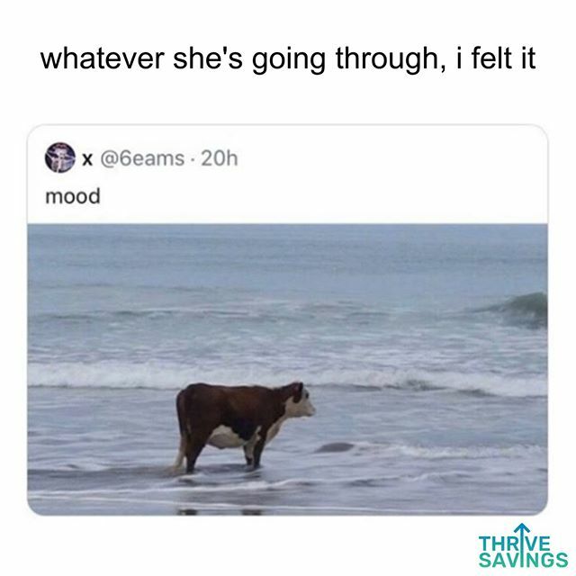 ThriveSavings's tweet photo. me too... 2019 is coming to a close! Did you met your goals?
..
.
.
#ThriveSavings #money #moneymemes #moneystruggles #broke #brokestudent #student #studentlife #overspending #onlineshopping #ecommerce #shopping #creditcard #creditcarddebt #banking #debt #debtfre… https://t.co/RQlc6LUlz5