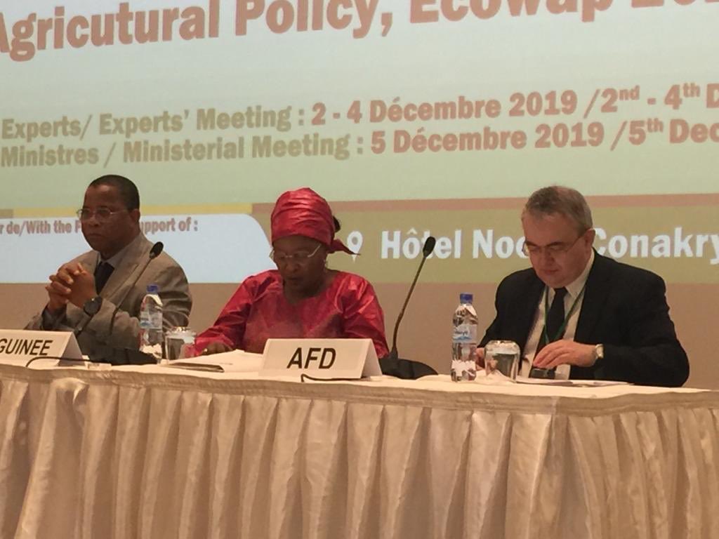 MatthieuDiscour's tweet photo. Réunion de @ecowas_cedeao, de ses EM et des partenaires pour dresser le bilan à mi-parcours de #Ecowap, la stratégie agricole de la #CEDEAO. Près de 2mds USD des partenaires au développement depuis 2015, pour des projets régionaux. @AFD_France coordonnateur du groupe bailleurs https://t.co/CyP7JT8eM5