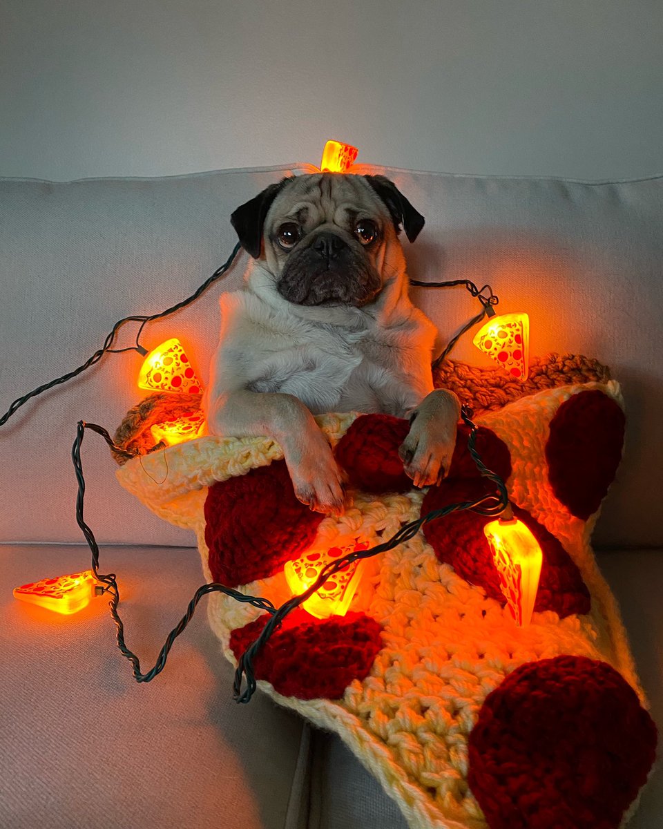 itsdougthepug's tweet photo. Have I been a good boy this year? https://t.co/ZM2htAycBO