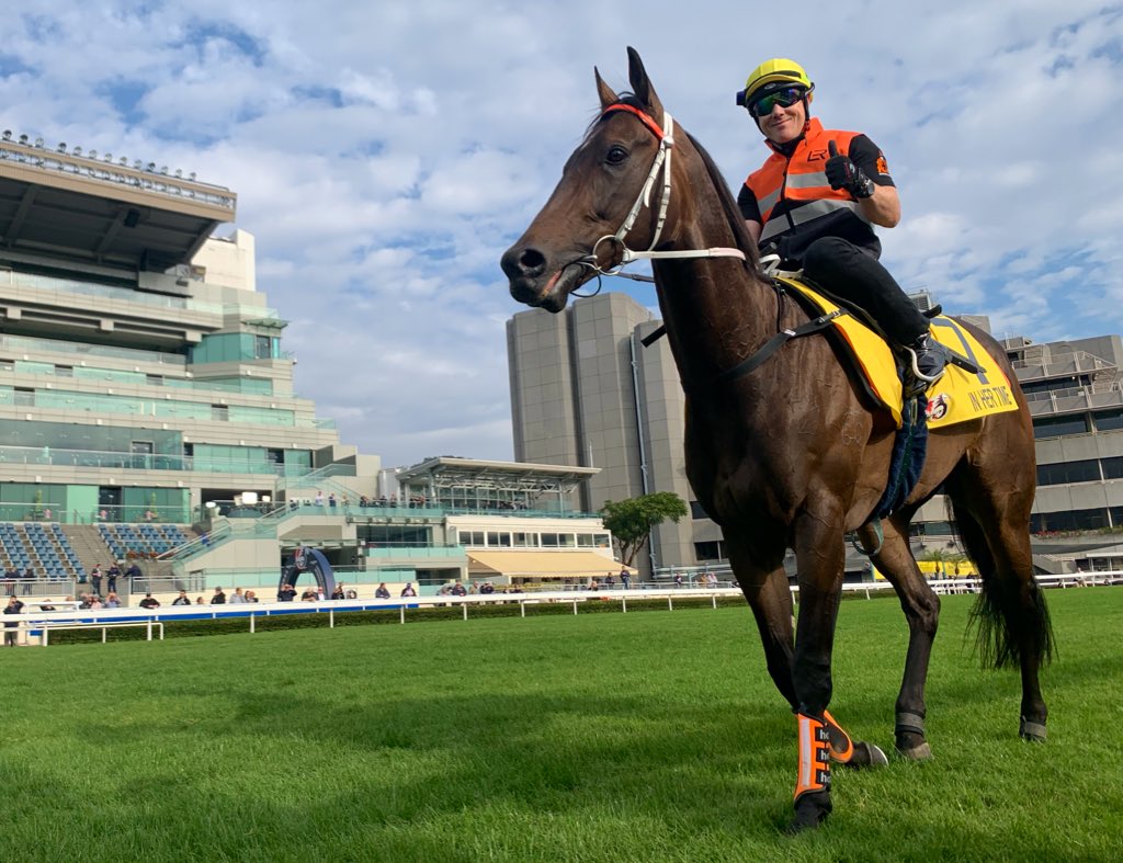 AndrewNJHawkins's tweet image. A big thumbs-up from @Swanny21 after In Her Time (@LeesRacing) has her final turf gallop ahead of Sunday’s G1 Hong Kong Sprint at Sha Tin @HKJC_Racing #HKRacing #HKIR #horseracing
