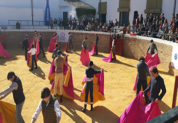 Sevilla martes 10 de diciembre 18 h Mesa Redonda sobre el futuro novilleril en Sevilla en Aula Plaza de Toros Real Maestranza con el pdte de Aula Taurina <a href="/EscTaurSevilla/">Escuela Taurina Sevi</a> Miguel Serrano y los novilleros <a href="/EmilioSilveraR/">Emilio Silvera</a>, <a href="/caleritotorero/">Calerito</a>, <a href="/danieldlff/">Daniel de la Fuente</a> de la Fuente y <a href="/PabloP1207/">Pablo Páez</a> Paez