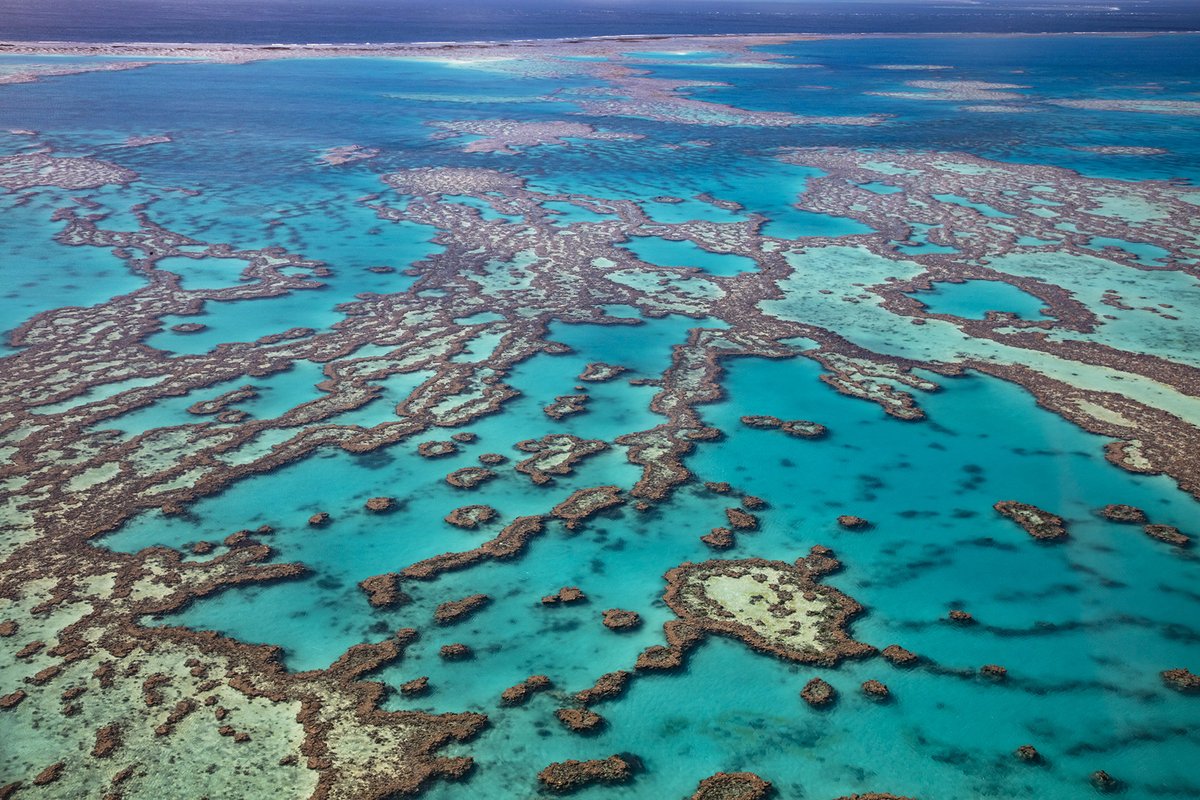 TheQTIC's tweet photo. Tourism Calls for Action: Climate Risk too Big to Ignore
Read more here:
https://t.co/5vx5PodGw9 #QTIC #sustainableocean #climaterisk #globalimpact #australiantourism #GreatBarrierReef
(Image: Tourism and Events Queensland) https://t.co/WueGXMuHXh