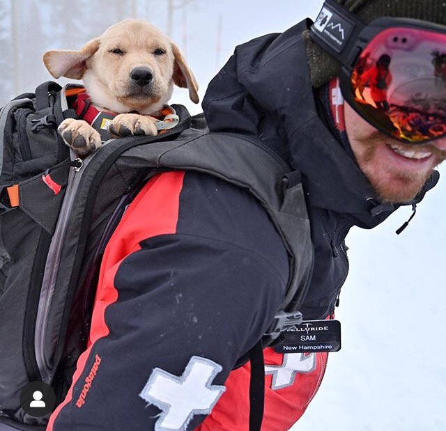 K__Hump's tweet photo. *fakes skiing crash* 
“Help!” https://t.co/DaRaEjJYJj