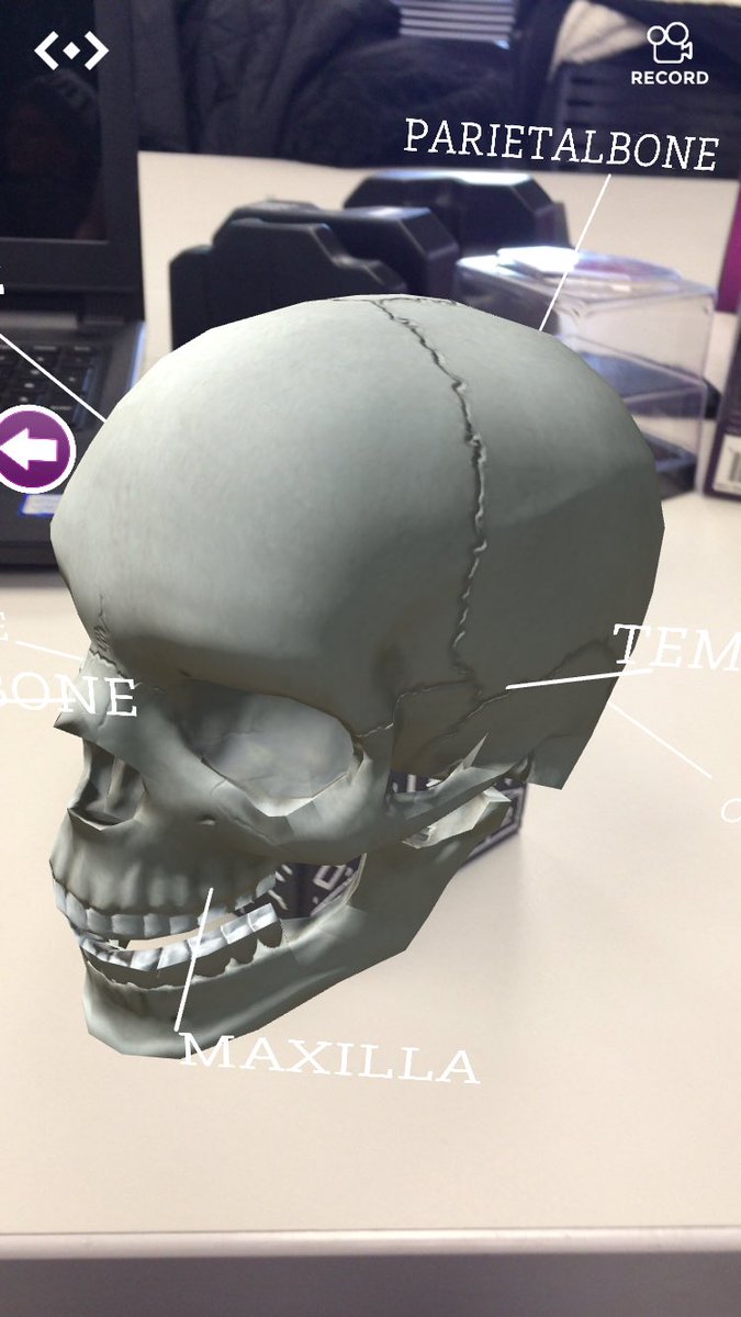 FreestoneNevan's tweet image. This week in #ED463 we learned about all kinds of AR, VR, MR, and AI tools for education. One of my favorites was merge cube which can be used in all kinds of ways, including learning anatomy!
#edtech #teacherbytrine