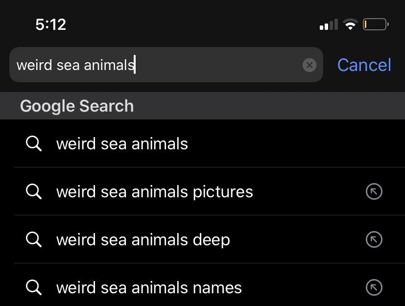Brandon Soo Hoo tweet media