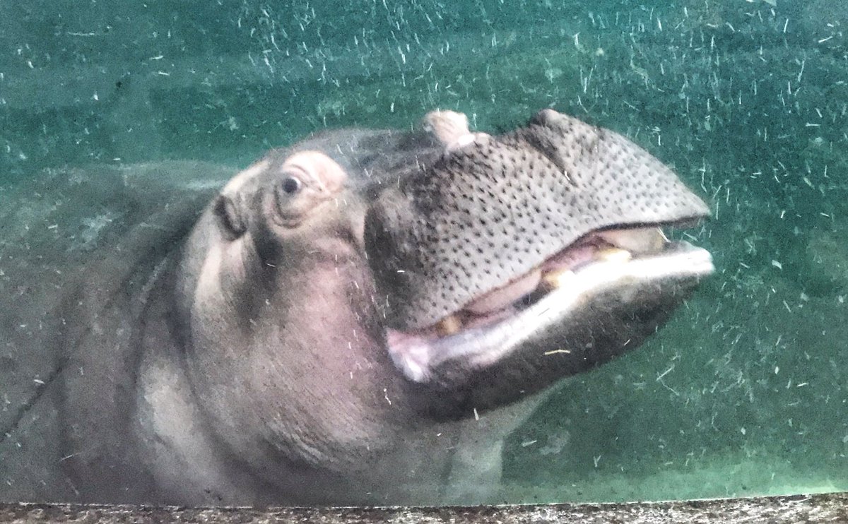 Katie Keddy On Twitter Beautiful Afternoon And Evening At The