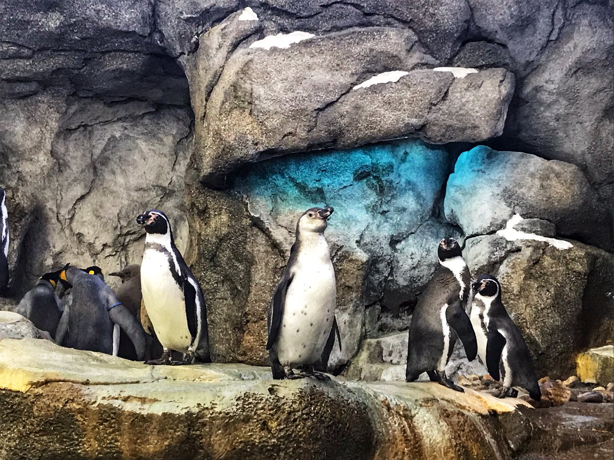 Katie Keddy On Twitter Beautiful Afternoon And Evening At The