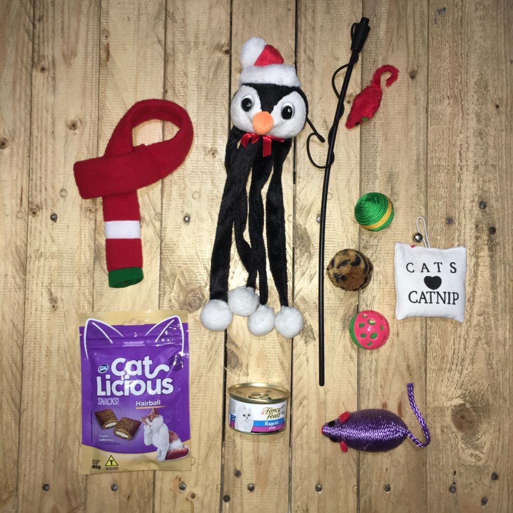 Ocicopets's tweet photo. Encuentra las Canbox para perros y gatos edición navidad en https://t.co/JS4ebN7fRJ 🎄🐶😻 https://t.co/x0E8I8kDcV
