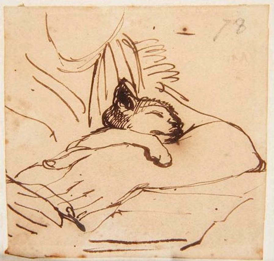 Jean-August Dominmique Ingres, Kitten sleeping in the arms of Madame Ingres