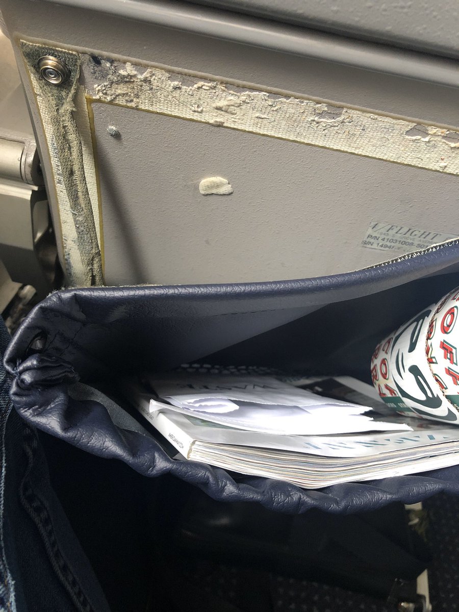 GrindinMyGears's tweet photo. Being upgraded to gold status on @AmericanAir reminds me of the movie Major Payne. I have just been upgraded from turd to maggot. Also check out the pride y’all take in your planes. Where else are you cutting corners? https://t.co/at7Tg8ijKj
