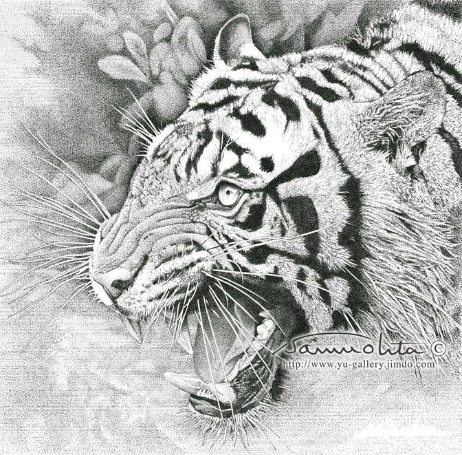 石周斎 ロットリングで描いた虎のペン画です 完成までに 結構時間がかかりました 虎 猫科動物 猛獣 ペン画 精密 画 T Co M2a3vr2im7 Twitter