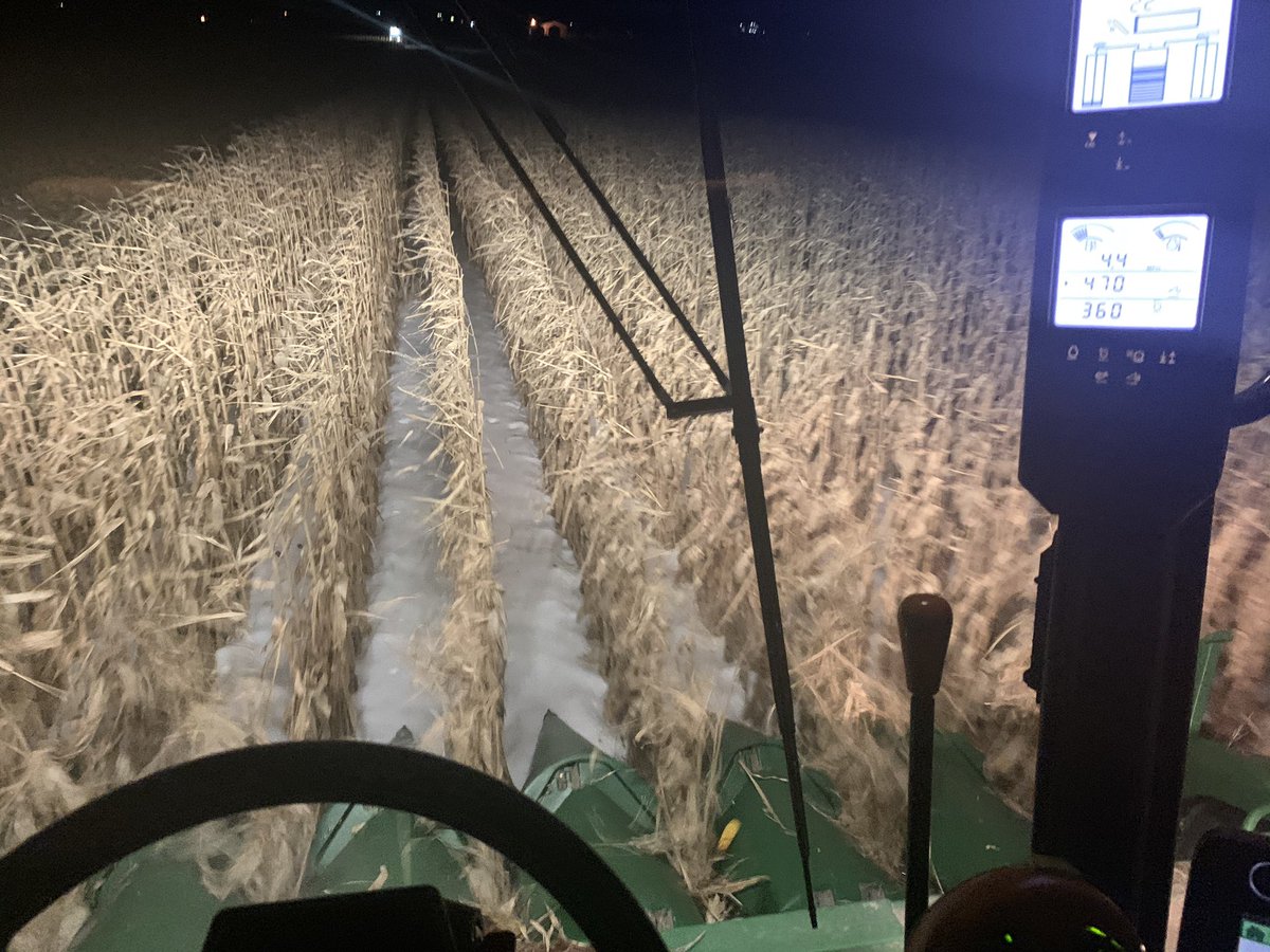 AustinSundeen's tweet image. Thursday night lights #notfunanymore