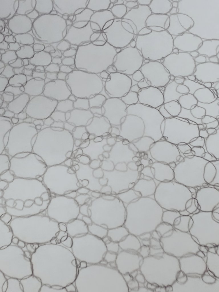 Jared19469766's tweet image. #yetanotherday