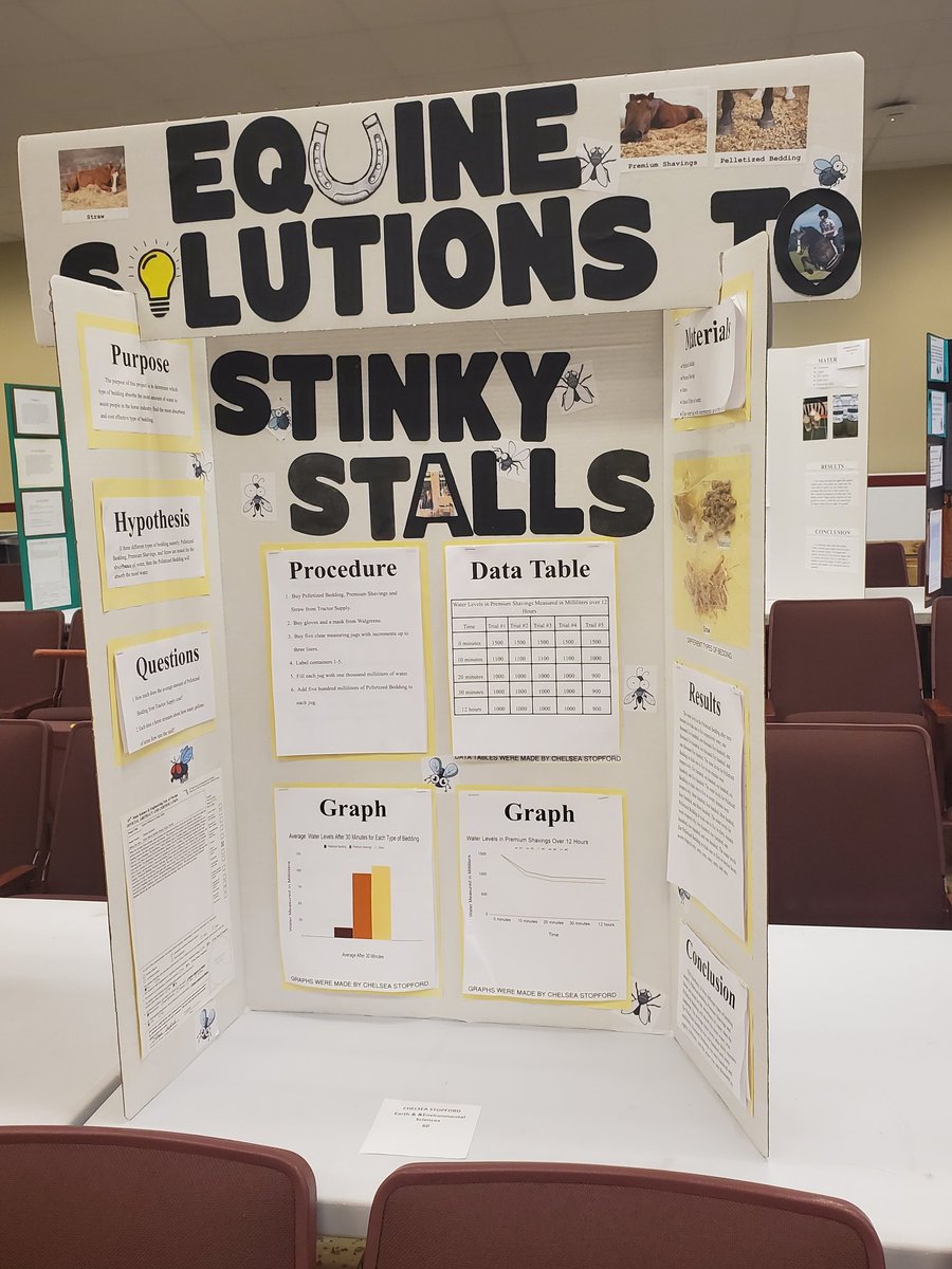 NmmsSteam's tweet photo. Our annual science fair was held today at NMMS. The students did a great job! Thank you to all the judges that came to help out!  @NMMScolts #nmmssteam #nmmscambridge #sciencefair #STEAMMagnetProgram #Cambridge https://t.co/7eL8EDnp3d