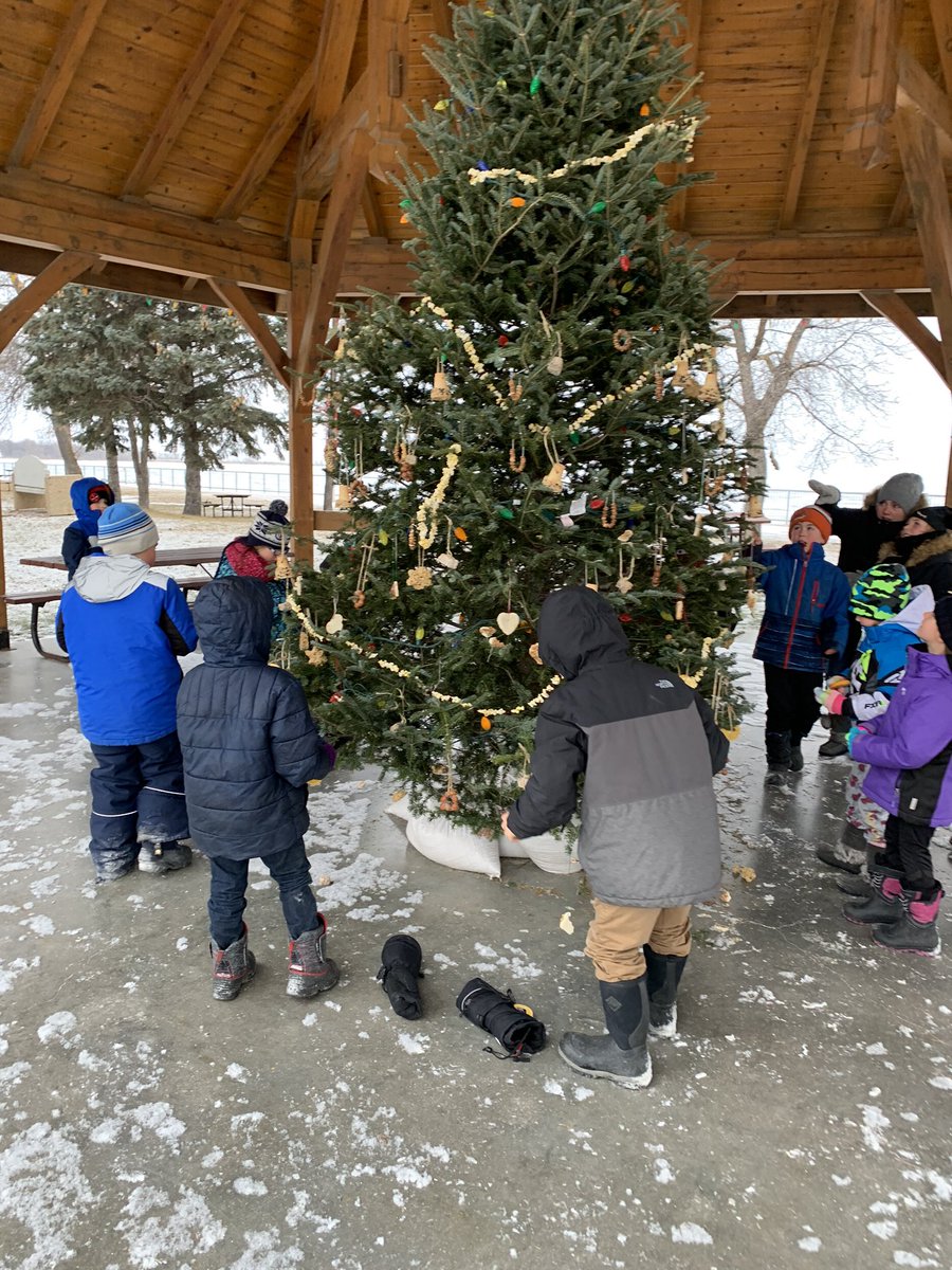 room3adventures's tweet photo. Had fun decorating the town tree with biodegradable ornaments. A big thank you to the Winnipeg Beach for the delicious hot chocolate and cookies! @WpgBeachSchool https://t.co/ZNQA4yjqXG