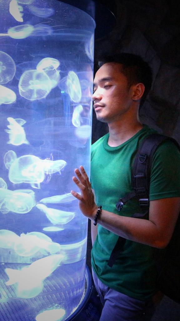 barirumanalo's tweet photo. There's more to things that meets the eye
#6of25 #oceanarium https://t.co/Sd89QyLMWz