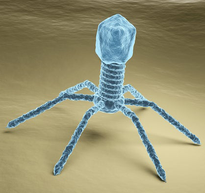 FGGGBTpod's tweet photo. When you break down a #Xenomorph, they are a #virus/#octopus/#Cordyceps/Tongue-Eating Louse combo, with the temperament of a #shark thrown in.  Listen as The #braintrust tells you how to create the perfect combination for your at-home #Cripsr kit.
https://t.co/yqDT1oSsBi https://t.co/jjTrK2oMxN