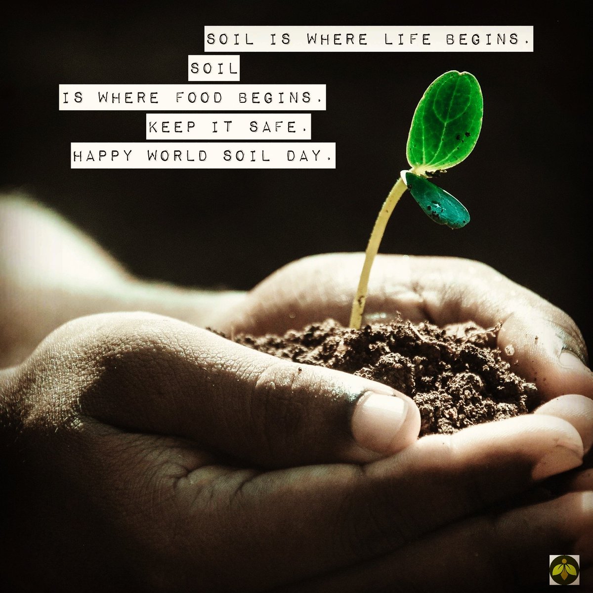 Happy World Soil Day!

#worldsoilday #soil #soilawareness #beneficialinsectary #greenmethods #farming #FarmManagement #farm #crops #soilconservation #ecosystem #greenthumb #grow #growingfood