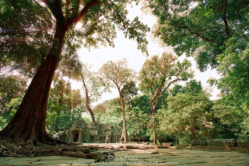 HotelAnik's tweet photo. Sunshine from Ta Prom temple. Credit to: Lang Solina #sunshine #TaProm #temple #culture #tradition #siemreap #Cambodia #tourist https://t.co/2nu9fMn3is