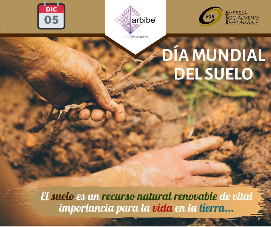 Edificaciones Arbibe tweet media