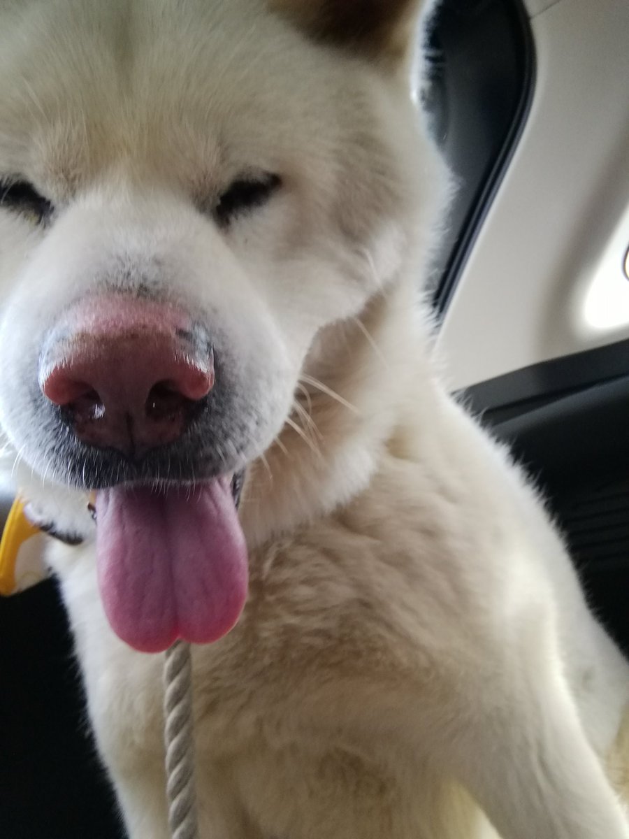 精巣腫瘍 Twitter Search