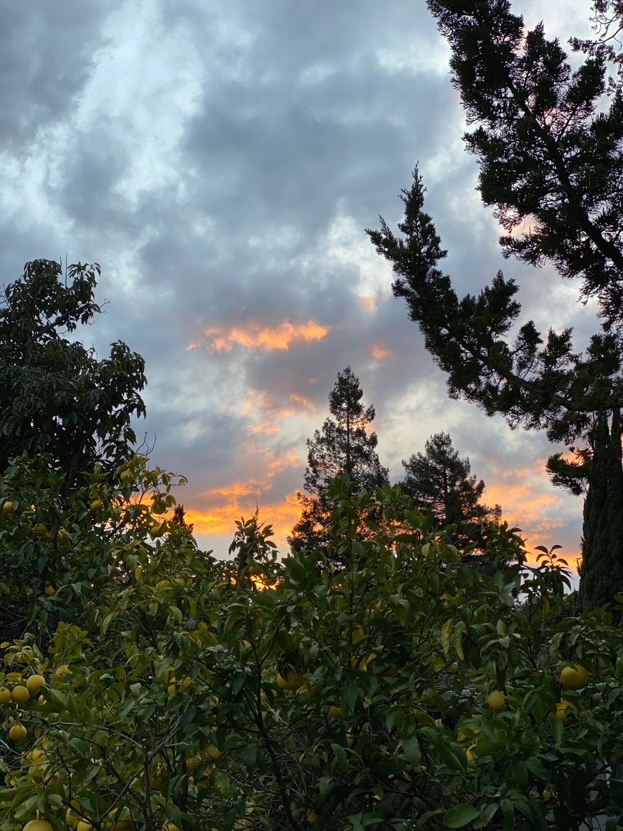 My update <a href="/harmonyprotocol/">Harmony 💙</a> 

- Filed paperwork to principal/ blue shield for account access 🗝️
- Youtube Promotion payout 
- Created invoices + sent to Community Management for monthly distribution 🗓️
- Expensify/ AP over 90 days completed 💸

"Well done is better than well said"