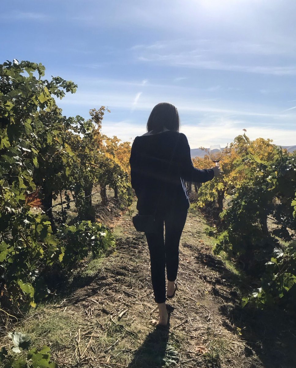 Wa_State_Wine's tweet photo. Cheers to the 21st Amendment! You know, the one that repealed the one that basically prohibited happy hours. #HappyRepealDay 📜🥊🍷
📸 Alexandra Hager at @FidelitasWines https://t.co/HNlw1oeK36
